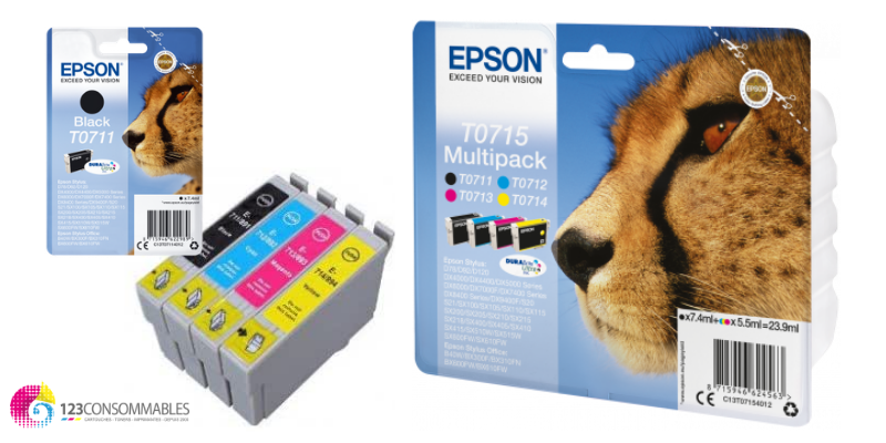 CARTOUCHES JET D'ENCRE POUR EPSON